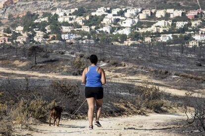 Burnt vegetation in La Granadella, between Jávea and Benitatxell.