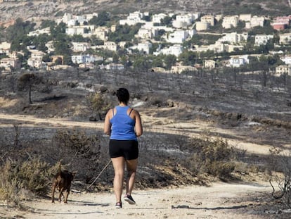 Burnt vegetation in La Granadella, between Jávea and Benitatxell.