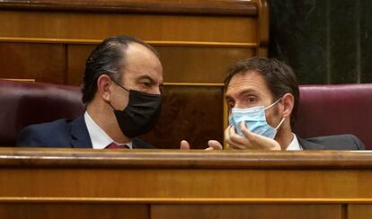 Los dos diputados de UPN, Carlos García Adanero y Sergio Sayas López, en la Cámara baja este jueves.