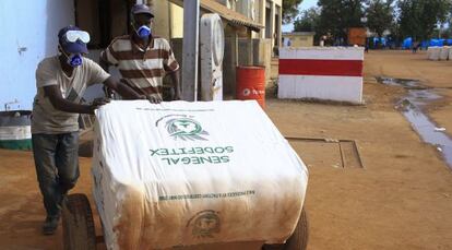 Trabajadores transportan un fardo de algodón de la Corporación de desarrollo de las fibras textiles de Senegal.