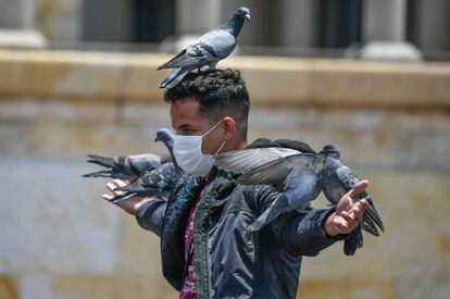 Un hombre usa una máscara facial como medida de precaución contra la propagación del coronavirus, mientras juega con palomas en la plaza Bolívar, en el centro de Bogotá.