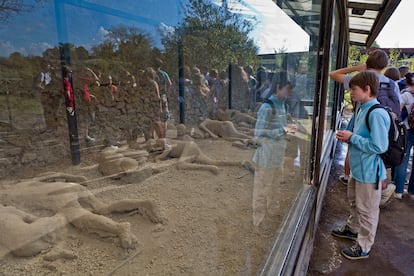 Un grupo de estudiantes contempla cómo quedaron varios de los habitantes de Pompeya.