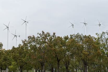 Las energías renovables son una de las grandes apuestas medioambientales de China, que pronto se convertirá en su mayor usuario. En Shanghái se utilizan estos molinos de viento para dar electricidad a instalaciones públicas.