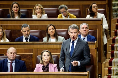 El líder del PP, Alberto Núñez Feijóo, interviene en la sesión de control del Congreso, este miércoles.