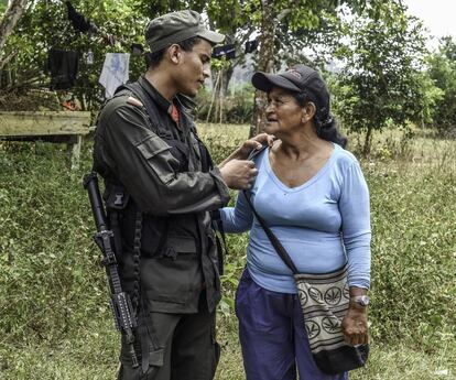 A member of the Revolutionary Armed Forces of Colombia (FARC), talks with his mother Lidia Rosa Rojo, at a camp in the Colombian mountains on February 18, 2016. Many of these women are willing to be reunited with the children they gave birth and they then left under the protection of relatives or farmers, whenever the peace agreement will put an end to the country's internal conflict.    AFP PHOTO / LUIS ACOSTA