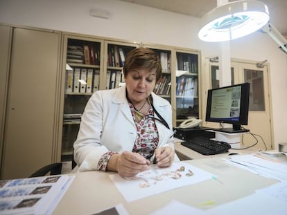 La técnico de laboratorio Pilar Fernández recompone un décimo de la Lotería Nacional salido de la lavadora.