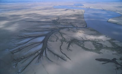 El delta del río Colorado, en la reserva de la biosfera Alto Golfo de California (México).