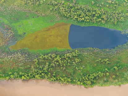 Vista aérea del Delta del Paraná.