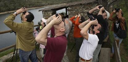 La Sociedad Espa&ntilde;ola de Ornitolog&iacute;a organiza este fin de semana jornadas de observaci&oacute;n de aves.