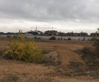 Parcela donde está prevista la construcción del tanatorio.