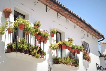 Desde hace más de una década, varios municipios de la comarca de La Janda convierten sus laberínticas calles en un portal de belén viviente con cientos de figurantes. Si el tiempo lo permite, el sábado 10 será el turno de Vejer. Un día más tarde se celebrará el de Medina Sidonia, municipio al que, además, muchos visitantes acuden en estas fechas para comprar sus típicos dulces navideños y degustar su cocina. 