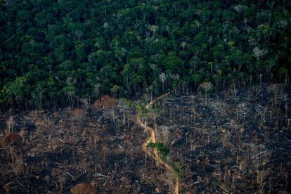 Vista aérea que muestra un área deforestada de la selva tropical de la Amazonia en Labrea, Estado de Amazonas, Brasil, el 15 de septiembre. La cuenca del Amazonas absorbió grandes cantidades de las crecientes emisiones de carbono de la humanidad, lo que ayudó a evitar la pesadilla del cambio climático descontrolado. Pero los estudios indican que la selva tropical se está precipitando hacia un "punto de inflexión", en el que se secará y se convertirá en sabana.