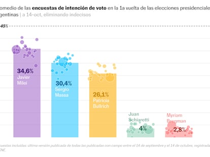 Milei llega al día de la elección argentina primero en las encuestas, pero en una competencia ajustada