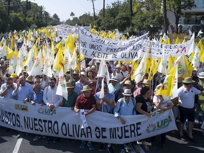 Manifestación de olivareros andaluces en protesta por los bajos precios del aceite de oliva celebrada en julio de 2019 en Sevilla. PACO PUENTES