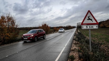 Una señal informa del peligro de corzos en una carretera.