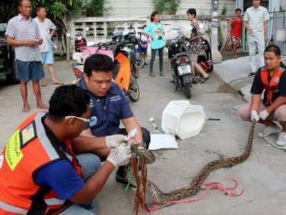 La víctima, que vive a unos 90 kilómetros de Bangkok, se recupera en el hospital de las heridas