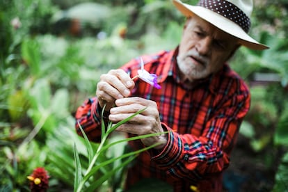 Angulo revisa sus orquídeas afuera de su casa, en Choachí. 