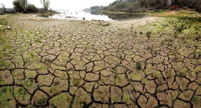 Aspecto que presenta el embalse de Cecebre, en Cambre (Galicia), donde se puede apreciar la sequía debido a la ausencia lluvias.