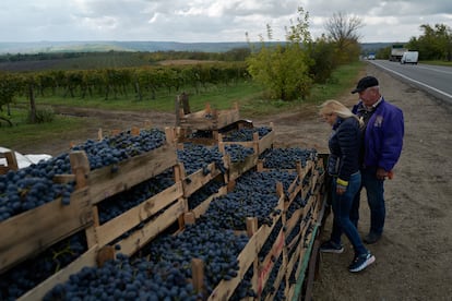 Vinos Moldavia