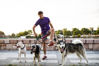 Cuidador de perros