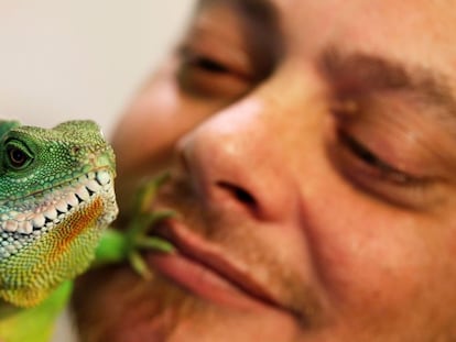 Un entusiasta de los animales exóticos juega con su animal de compañía, un dragón de agua chino, en su casa de Burdeos (Francia), el 7 de diciembre de 2017.