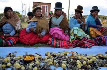 Varias ‘cholitas’ de Puerto Pérez celebran un ‘ajtaphi’, la comida comunitaria con el que estas comunidades agasajan a sus huéspedes. Lo hacen con ocasión de la visita de Carlos Ortuño, ministro de Medio Ambiente y Agua, que ha acudido a la zona a inaugurar instalaciones de agua y saneamiento.
