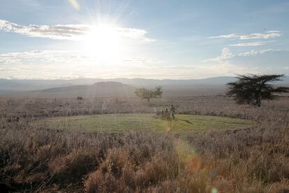 El Savannah Circle, un proyecto del dúo de paisajistas en el parque natural de Lewa, en Kenia.