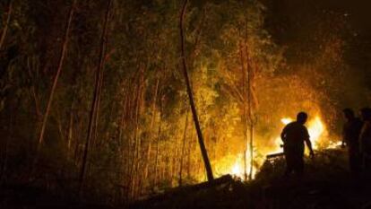 Incendio forestal en Arbo, Pontevedra.