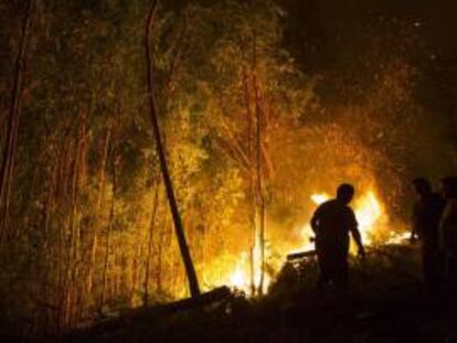 Incendio forestal en Arbo, Pontevedra.