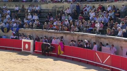 El primer toro de la tarde volvió vivo a los corrales.