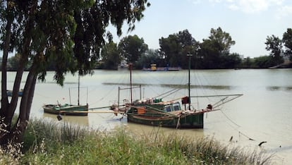 En la ribera del Guadalquivir se puede seguir el trasiego de los pequeños barcos dedicados a la pesca de albures.