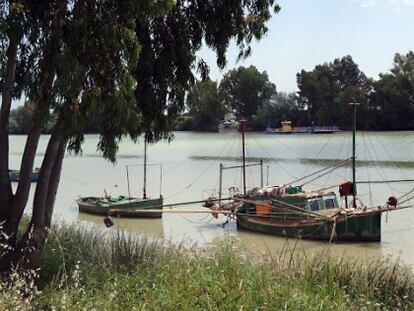 En la ribera del Guadalquivir se puede seguir el trasiego de los pequeños barcos dedicados a la pesca de albures.