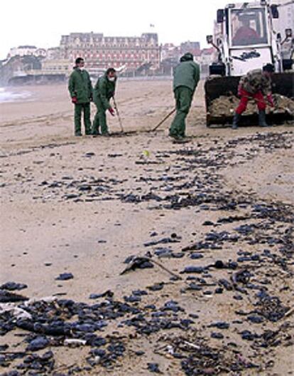 Trabajadores del Ayuntamiento de Biarritz (suroeste de Francia) limpian las <b></b><i>galletas</i> de fuel del <b></b><i>Prestige</i> llegadas ayer a la playa.
