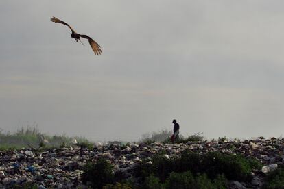 Para los recicladores, cada camión que llega es un 'tesoro' que dará de comer a sus familias. Lo que no es aprovechable para el reciclaje y la venta, se quema. La contaminación del aire que genera la incineración repercute en la salud de los habitantes que viven en los alrededores y en la fauna del lugar. Estas problemáticas se solventarían con el tratamiento adecuado de la basura en la planta recicladora, defienden sus impulsores.