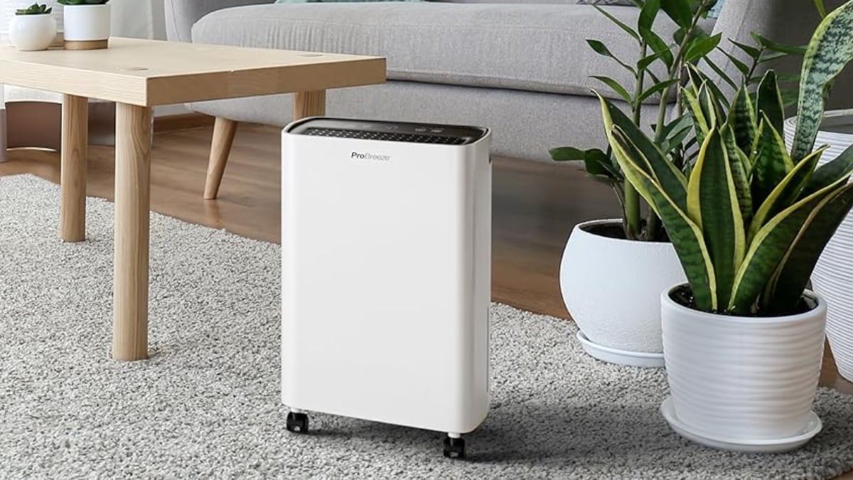 Cuatro deshumidificadores potentes de Amazon que están de oferta y los clientes recomiendan