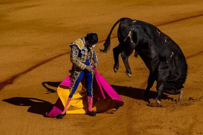 Corrida de toros en La Maestranza, Sevilla