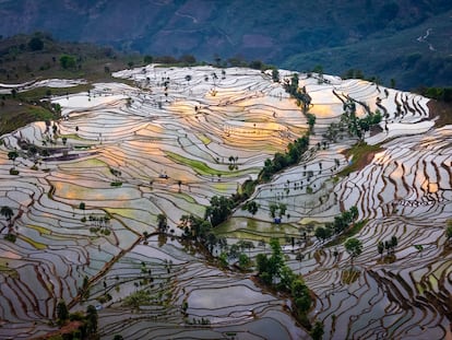 Terrazas de arroz en la provincia china de Yunnan.