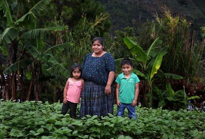 Irma Alesia, con sus hijos, en el huerto familiar de frijoles en Tamahú, Guatemala, en febrero. 