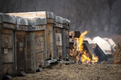 El comportamiento de un incendio depende de la topografía, la meteorología y el combustible. Para prevenir y minimizar el impacto de las llamas es fundamental la gestión de nuestro paisaje, recuperar el paisaje en mosaico agroforestal tradicional de forma sostenible, mejor adaptado, con menos carga de combustible, así como recuperar zonas degradadas. En la imagen, varias colmenas arden durante el incendio forestal de Jubrique, en Málaga.