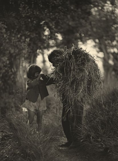 'En el bosque', imagen de Antoni Arissa.