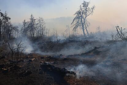 Humo durante un incendio forestal, el pasado 29 de junio en Katsimadi Parnizas (Grecia).