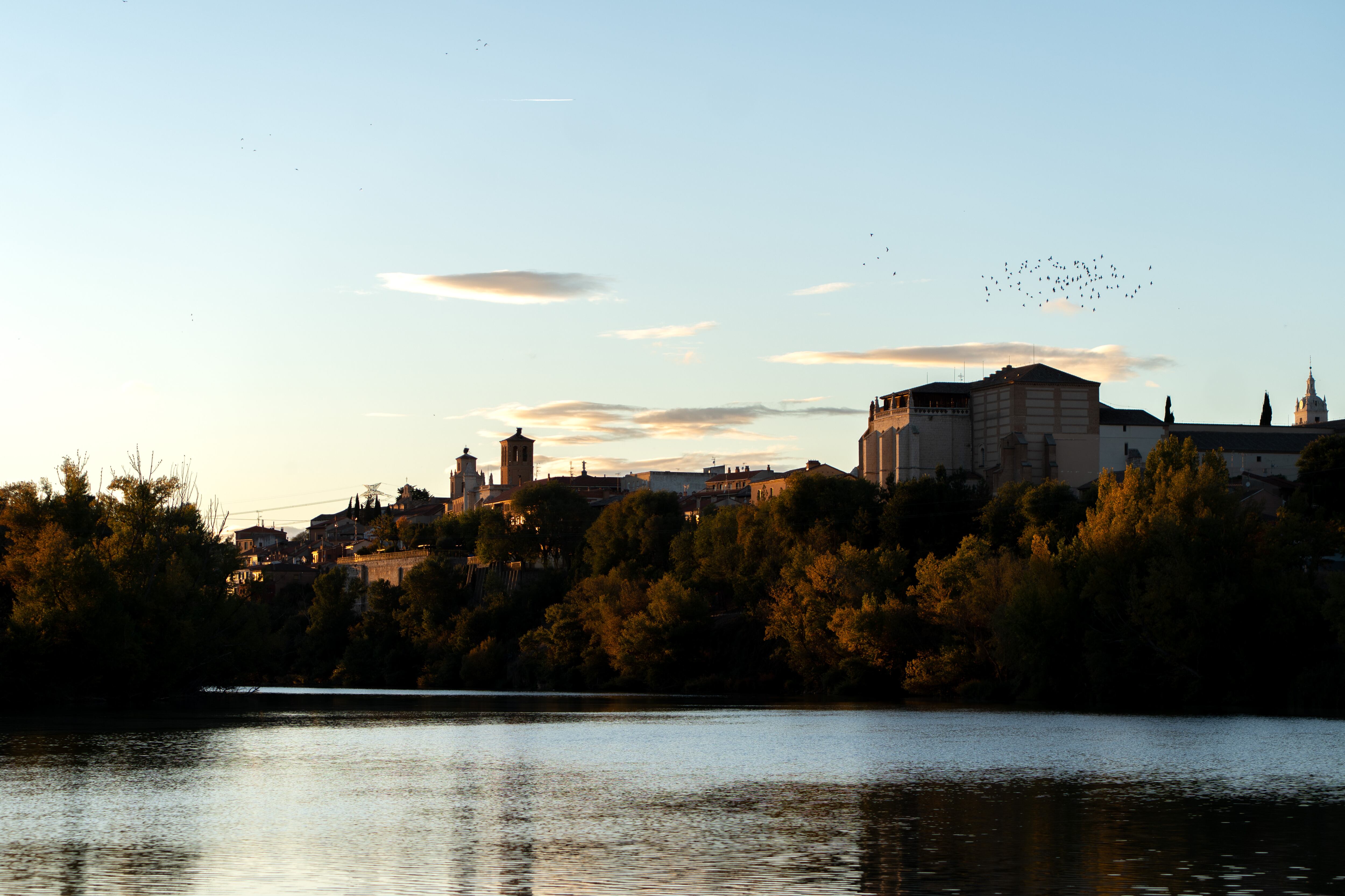 Una bandada de pájaros sobrevuela el real monasterio de Santa Clara, con el espejo del Duero a sus pies.