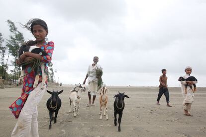 Bangladesís son evacuados a un refugio durante el ciclón Mora, que ha causado el desplazamiento de más de 300.000 personas en localidades costeras.