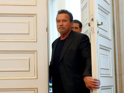 FILE PHOTO: Austrian Chancellor Sebastian Kurz receives actor Arnold Schwarzenegger at the Chancellery in Vienna, Austria, January 28, 2020. REUTERS/Leonhard Foeger/File Photo