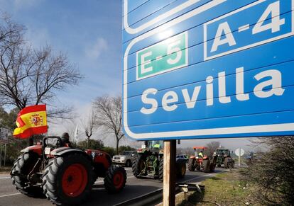 Los agricultores reclaman la reducción de los costes de producción, un salario mínimo interprofesional "ajustado a la realidad del campo" y que se les defienda de lo que entienden como "competencia desleal" de terceros países.