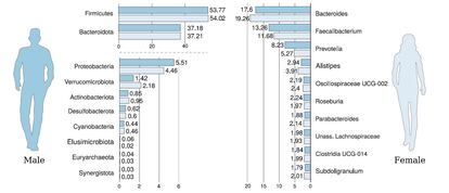 Distribución de los taxones principales (tipo, a la izquierda, y género) en el microbioma intestinal de individuos masculinos y femeninos. Las cantidades son porcentajes de abundancia relativa.