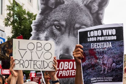 Manifestación en defensa del lobo en Madrid