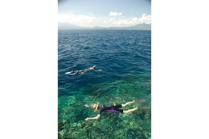 Con más de una docena de excelentes zonas de inmersión, Pulau Menjangan es la gran atracción de Bali para buceadores de todos los niveles. Magnífica visibilidad para nadar entre peces tropicales y corales suaves, así como cuevas y taludes espectaculares para los más expertos. Gorgonias y todo tipo de esponjas ofrecen texturas y escondrijos para los peces pequeños, y forman un tapiz de colores marinos. Es difícil resistirse al encanto del pez loro y el pez payaso, y la espectacularidad de tiburones ballena y mantarrayas. Esta isla acoge el templo más antiguo de Bali, Pura Gili Kencana, del siglo XIV, presidido por un enorme Ganesha (deidad hindú con cabeza de elefante).