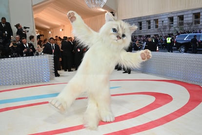 En 2023, la edición se dedicó al legado de Karl Lagerfeld y Jared Leto apostó por homenajearle vistiendose de lo que quería en el mundo el creador: su gato Choupette.