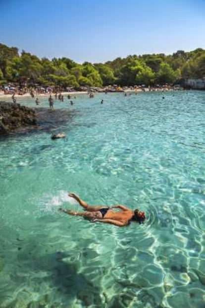 Bussejo amb tub en Cala Turqueta.